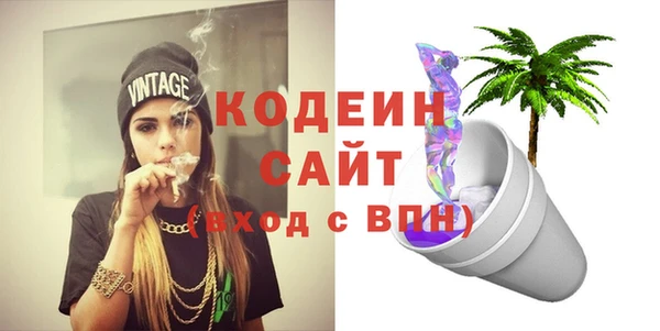 гашик Гусиноозёрск