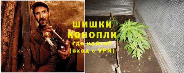 мет Гусев