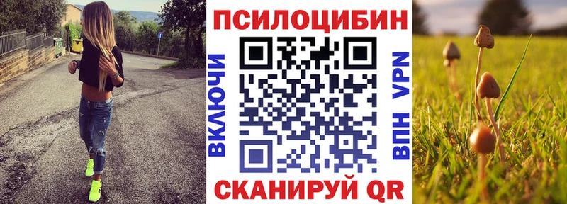 Псилоцибиновые грибы Cubensis  Купить  Питкяранта 